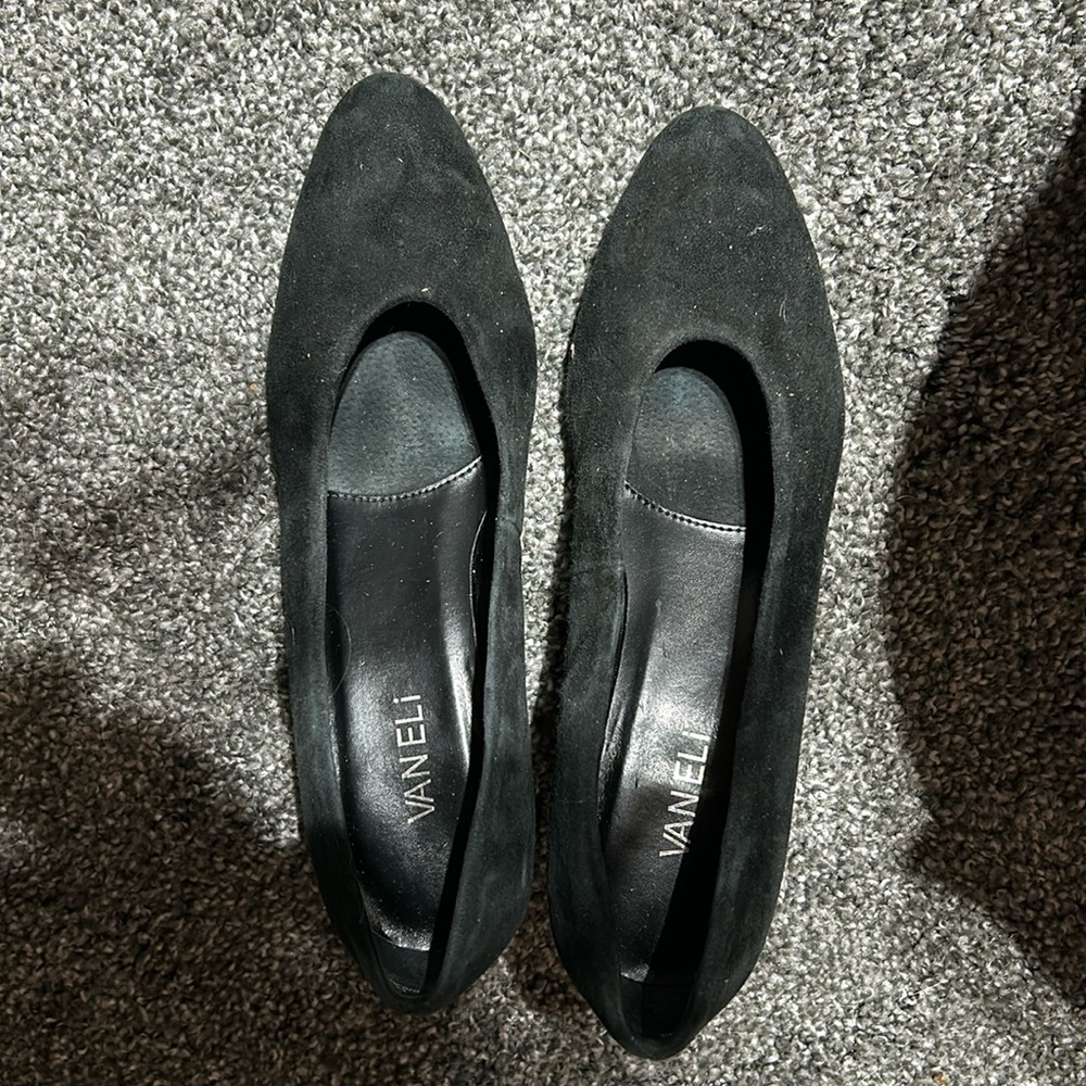 Vaneli pumps